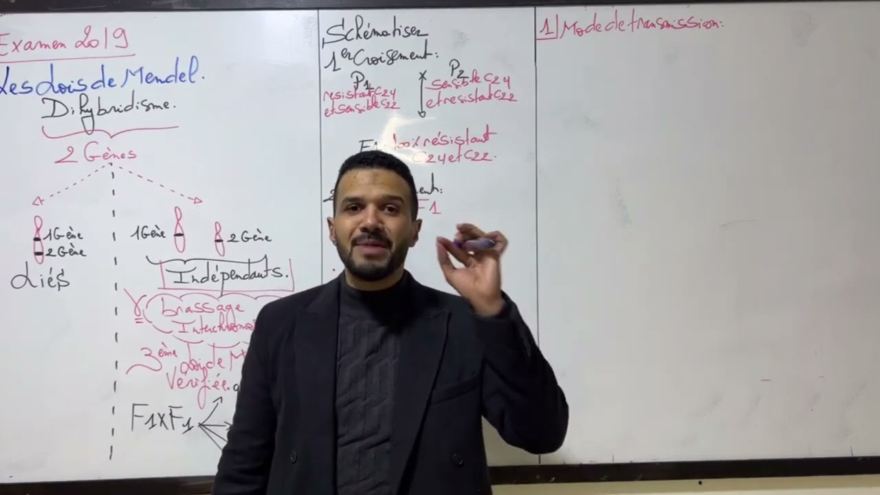 Les lois de Mendel correction Examen 2019 PC normale