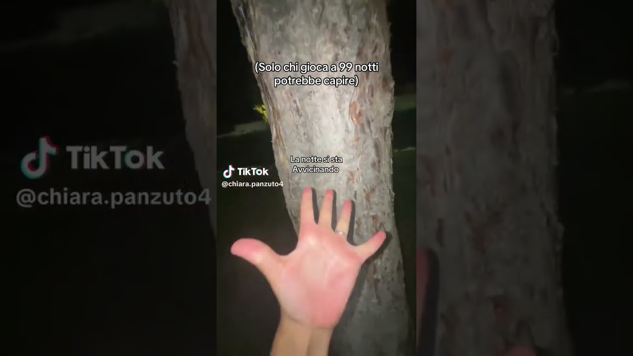 99 notti nella foresta