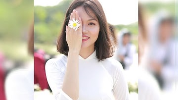 8/11/2019 mùa hoa cúc họa mi đầu tiên