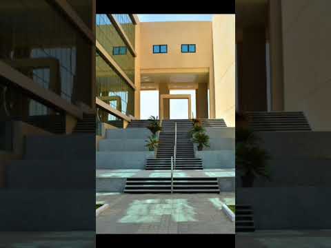 جامعة ميريت