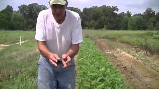 EM Farming In Maryland 2012