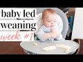 STARTING BABY LED WEANING! ESSENTIALS + WEEK 1 RECAP | KAYLA BUELL