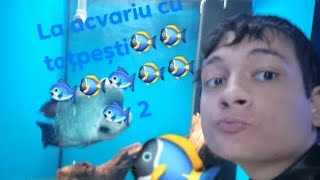 la acvariu. vlog la Muzeu 🐠🐟2