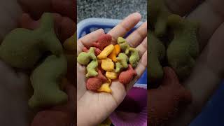 Nut Free Snack Ideas for School - Pack School Snacks with me