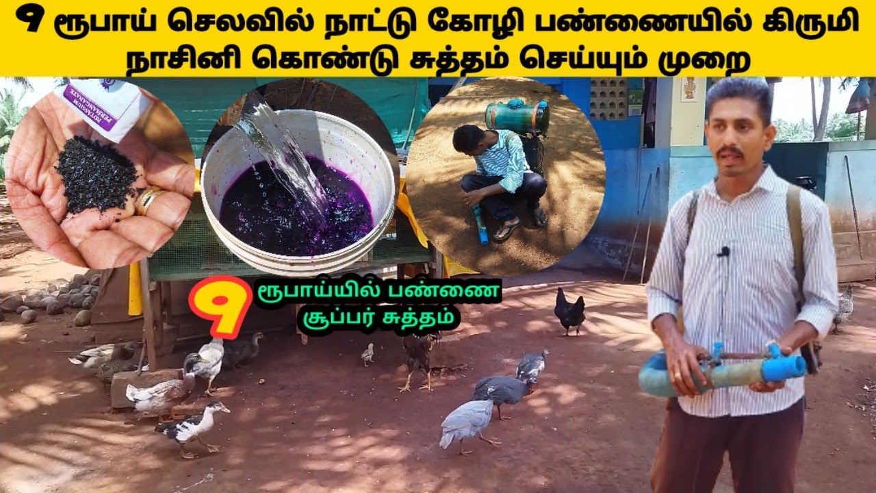 நாட்டு கோழி பண்ணையை சுத்தம் செய்யும் முறை#nattukozhivalarpu