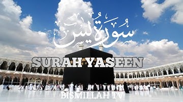 Surah Yasin (Yaseen) سورة يس Morning Mind Relaxing Heart  touching marvelous beautiful |