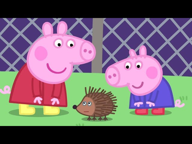 Peppa Pig Becomes Friends With a Hedgehog 🐷🦔 Peppa Pig Official