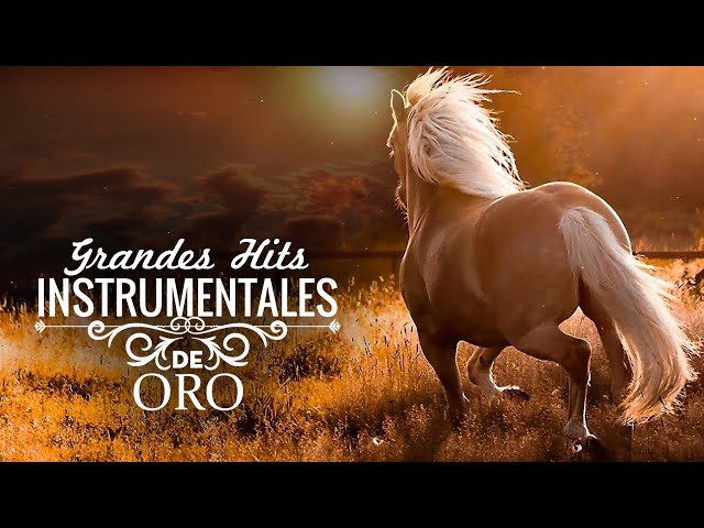 Las 50 Melodias Orquestadas Mas Bellas de Todos Los Tiempos - Grandes Hits Instrumentales de Oro class=