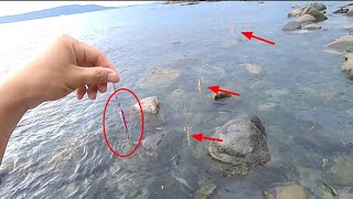 セリア100均マイクロジグ5gにサビキ合体するとこうなります