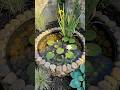 An Old Tire Became a Stone-Lined Pond With Pink Water Lilies 🌿