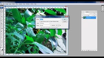 How to Make Lomo Effect in Photoshop