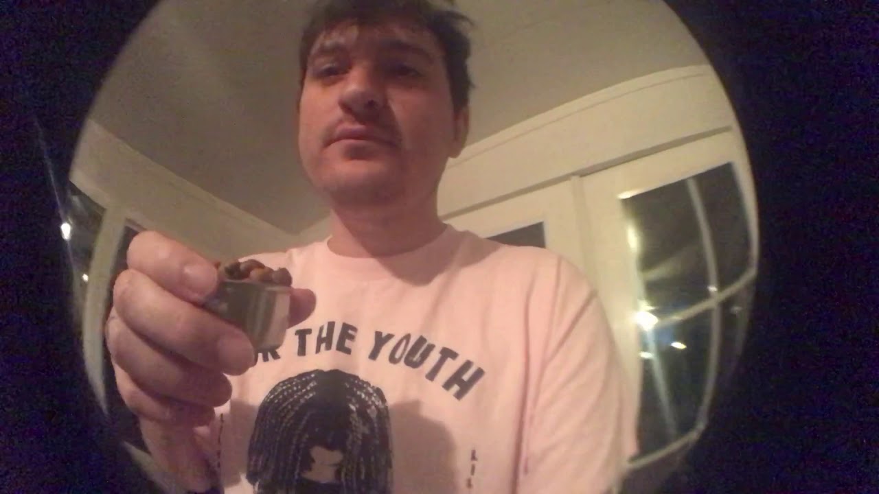 how-to-feed-your-cat-youtube