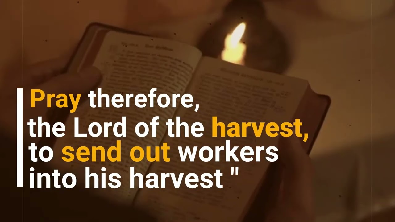 02   Role of St  Hannibal in the WDPV