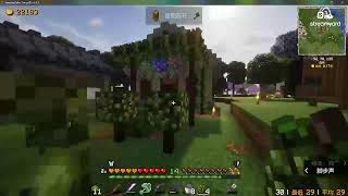 me and younger brothers play mc