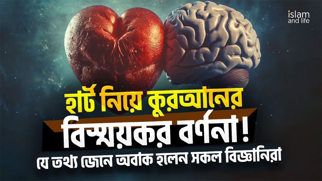 হার্ট নিয়ে কুরআনের বিস্ময়কর বর্ণনা! যে তথ্য জেনে মাথা ঘুরে গেল সকল বিজ্ঞানীর! | Islam and Life 2024