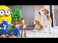 Top 500 best animations in real life  minions  sonic  toy story  lego and more