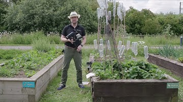 Plant Health and Spectral Imaging | Living Optics