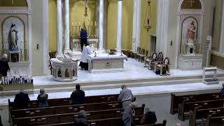 Opening Your Heart to Jesus This Lent: Purification and Consolation