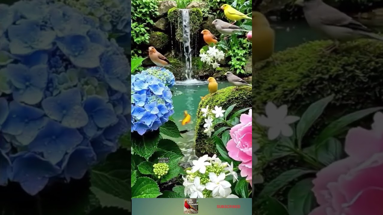 Relaxing Garden Waterfall & Birds 🕊️ | Peaceful Nature Scenery for Stress Relief