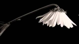 Vicdansız - Müslüm Torun