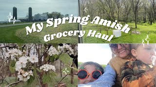 My Amish Grocery pantry HAUL - for SCRATCH cooking | mom of 8