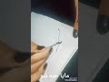 رسم حنة اجمل مصر