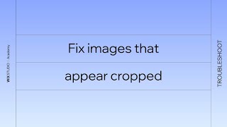 Troubleshoot and fix images that appear cropped | Wix Studio