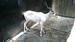 DSCF0613