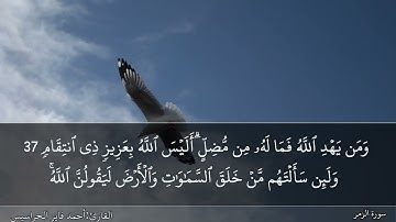 الصفحة 462 سورة الزمر بصوت القارئ المهندس أحمد فايز الحراسيس