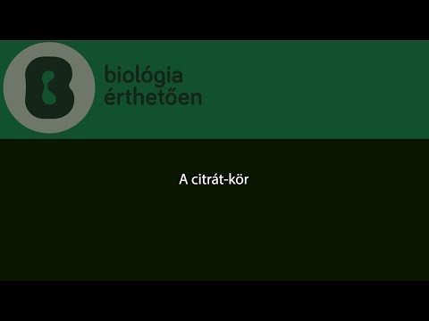 Videó: Anaerob Baktériumok - Az Anaerob Baktériumok és Fertőzések Osztályozása