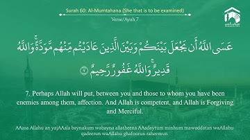 Quran 60 Surah Al Mumtahana سورة الممتحنة Sheikh Abdullah Bu'ayjaan With English Translation