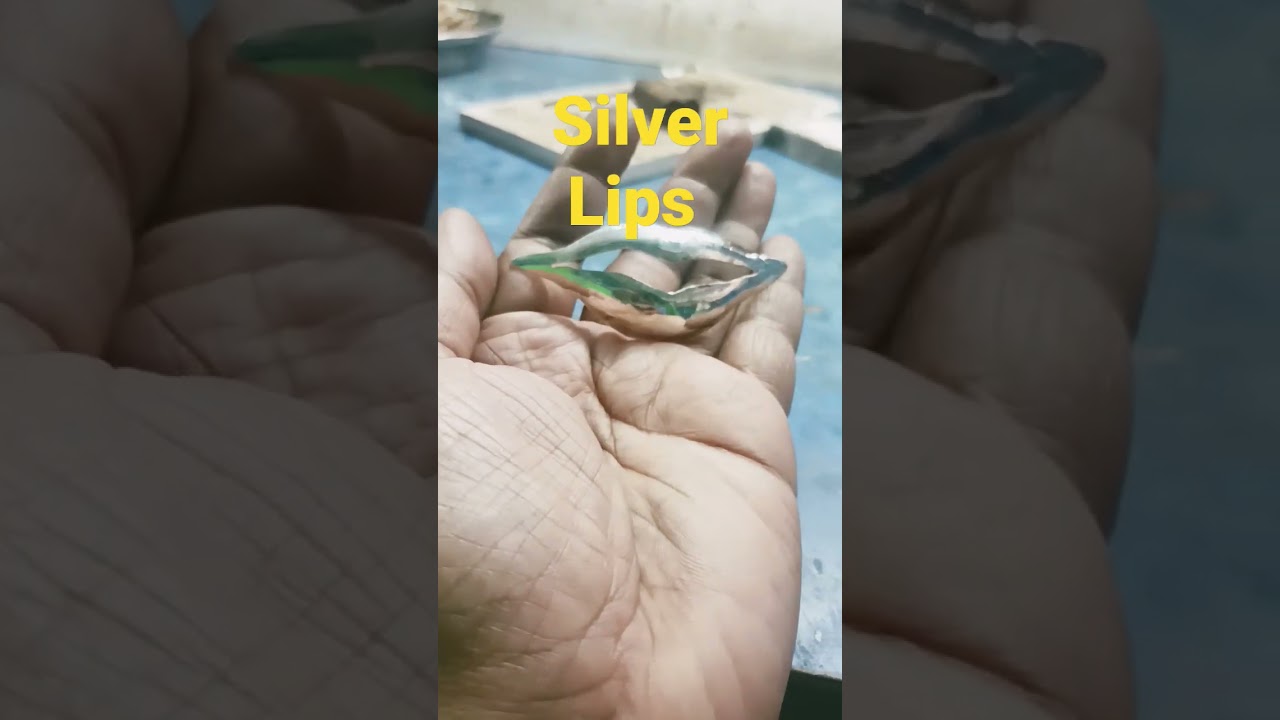 Silver Lips Design 
