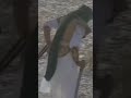 انه مكسور كلبه وحيل مابي