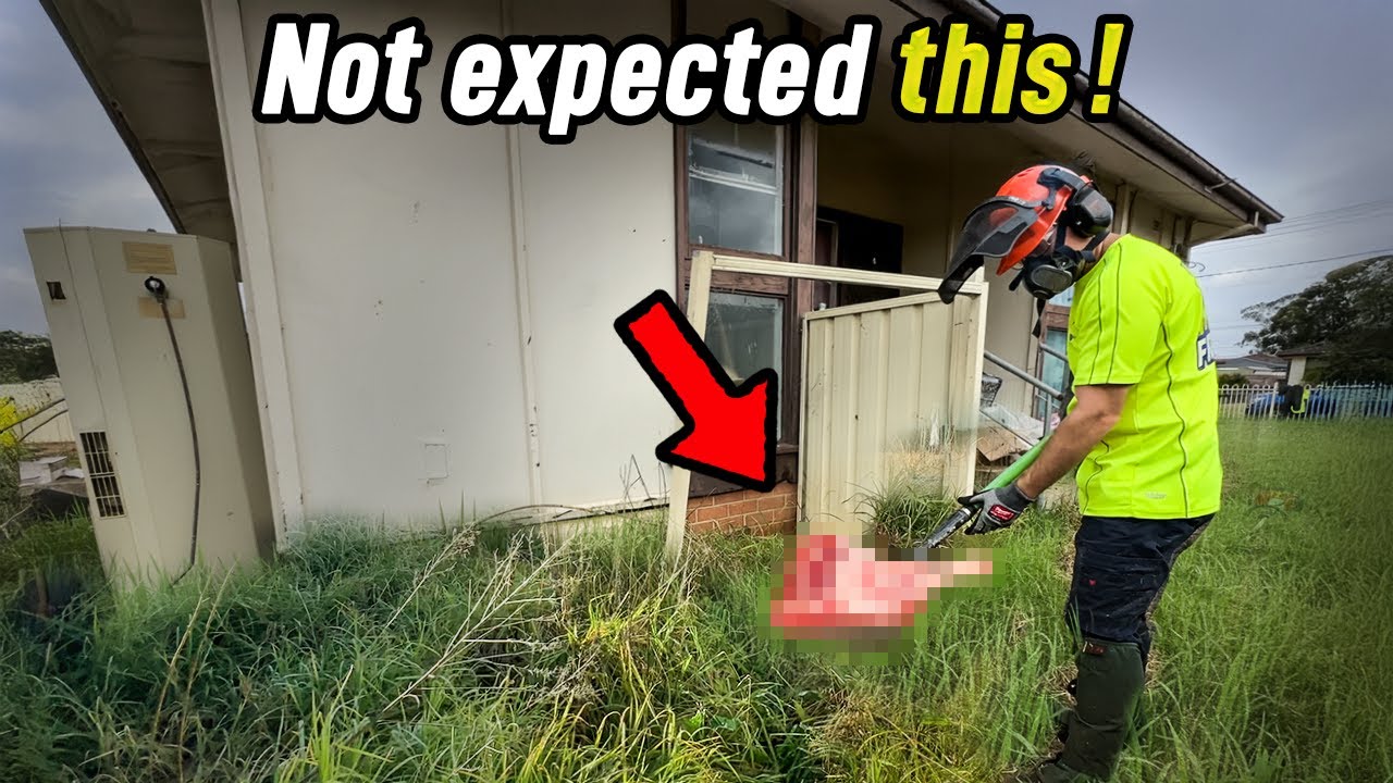 Resident passed away and this yard has some surprises