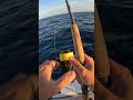 What did I have on?👀 #fishinglife #anglerlife #bigfish #gopro #fishingaddict #saltwaterreel