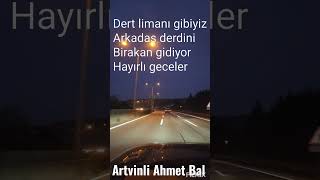 Artvinli Ahmet Bal (Hüzün dalgası) Resimi