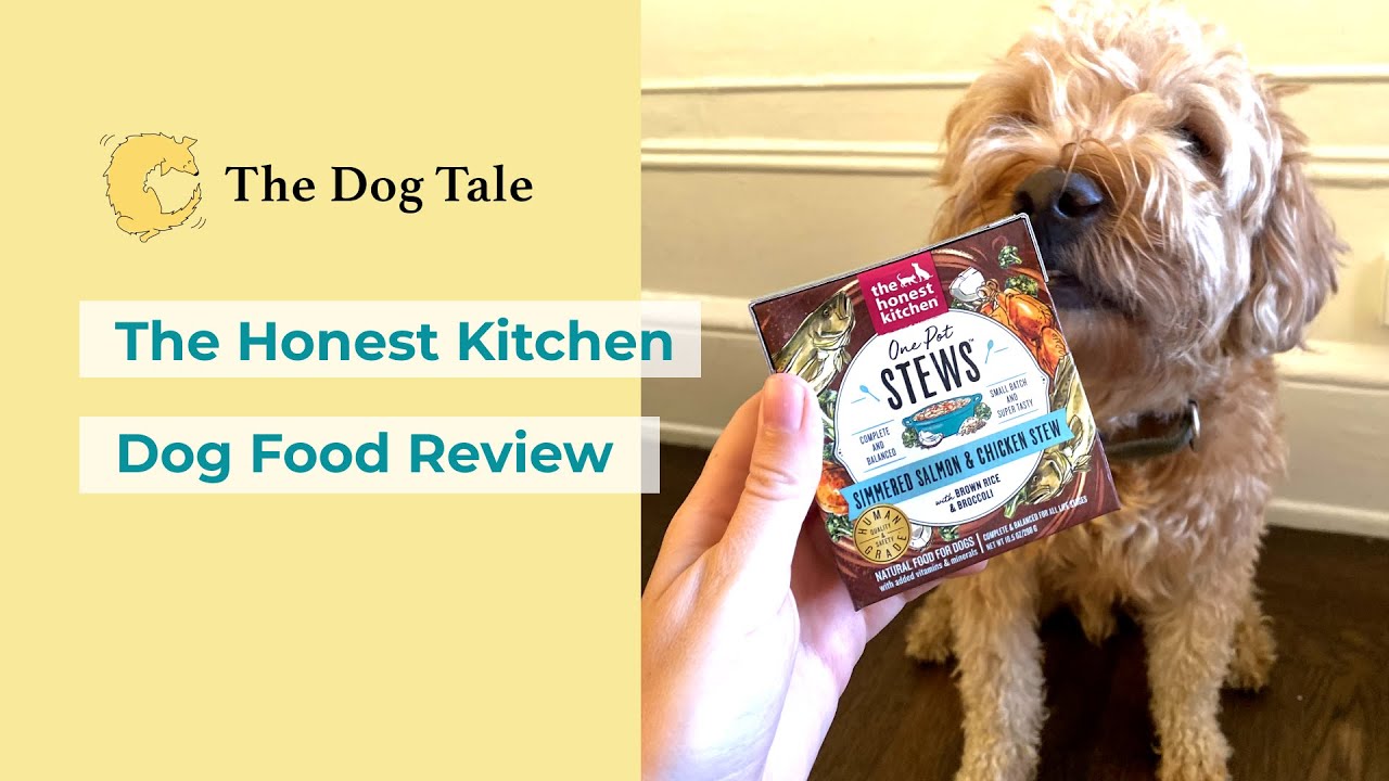 The Honest Kitchen Dog Food Review