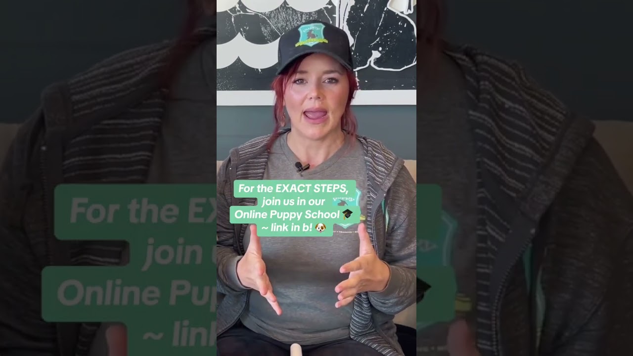 How to TEACH KIDS to RESPECT your puppy? 🐶👧👦 