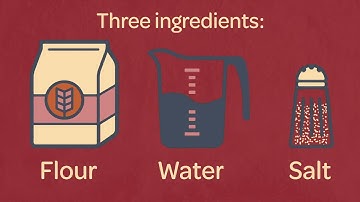 The Science Behind Sourdough Starters
