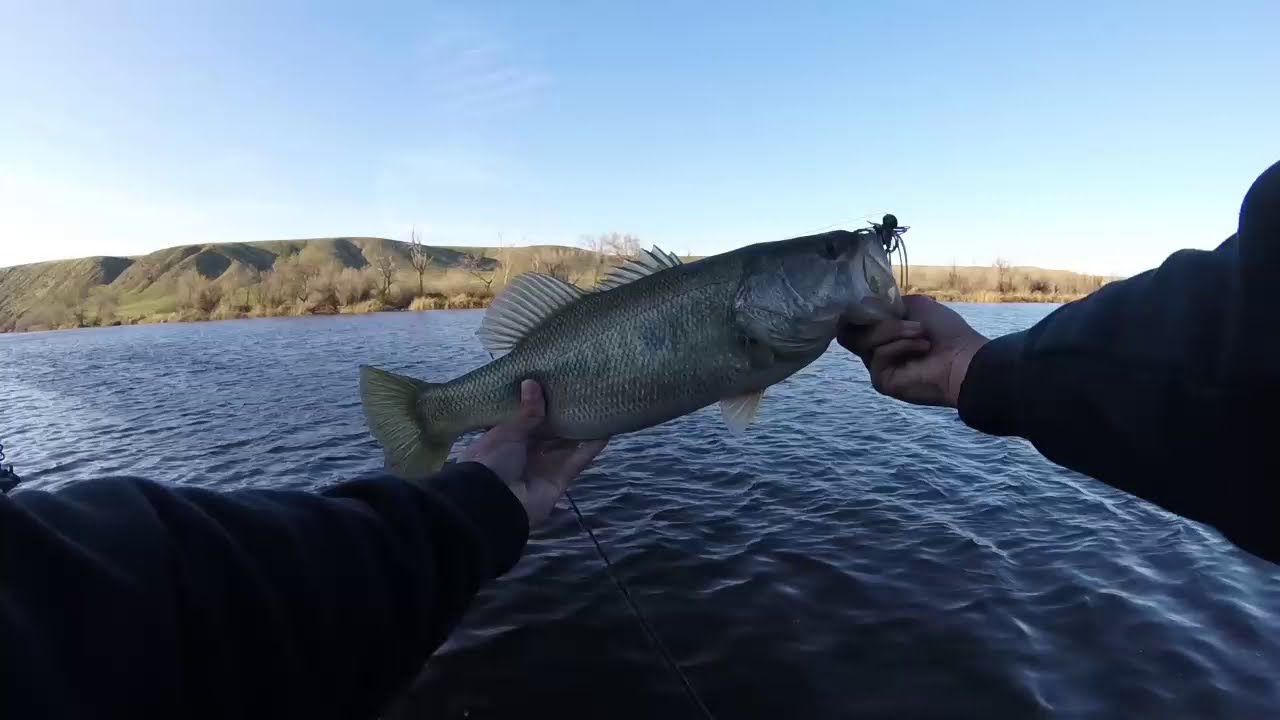 Flipping Jigs on Los Banos Creek Reservoir, CA (Broken Rods!)
