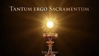 Tantum Ergo Sacramentum | Gregorian Chant Adoration Hymn | Lux Divina