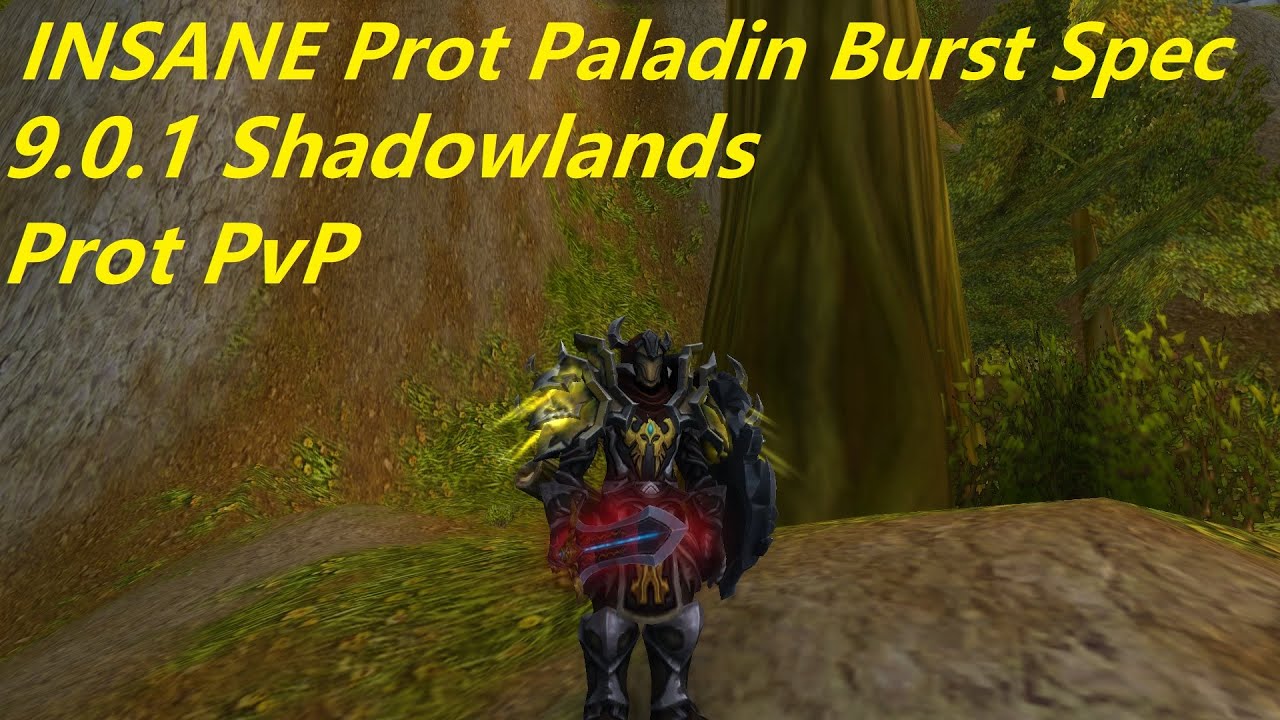 Wow 9 0 1 shadowlands prot paladin pvp insane new burst spec
