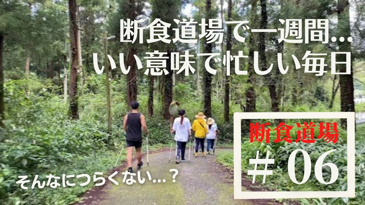 1週間の準備食で何kg痩せたのか？｜断食道場｜リフレッシュの森【アラフォー40代/独身女性/vlog】