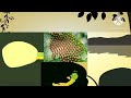 Educational vedio for a butterfly creation