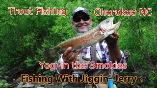 Trout Fishing & Camping at Yogi in the Smokies, Cherokee, NC