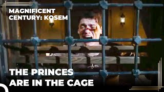 Sultan Murad Locked The Princes In The Cage! | Magnificent Century Kosem