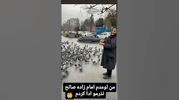 برای حاجت روایی بنویس یا مهدی ادرکنی الهی همه دوستان حاجت روا بشن گیلکی 
