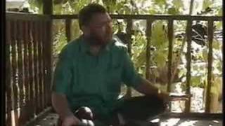 Thai Yoga Massage The Art of Traditional Thai Massage #2