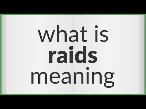 Raids  meaning of Raids 