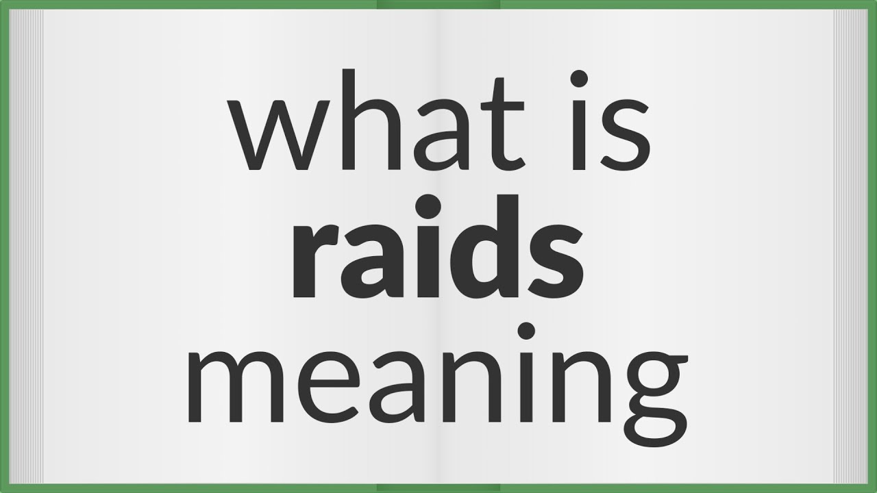 Raids  meaning of Raids 